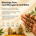 Divya Raksha Rudraksha & Karungali Mala with Gold Capping
